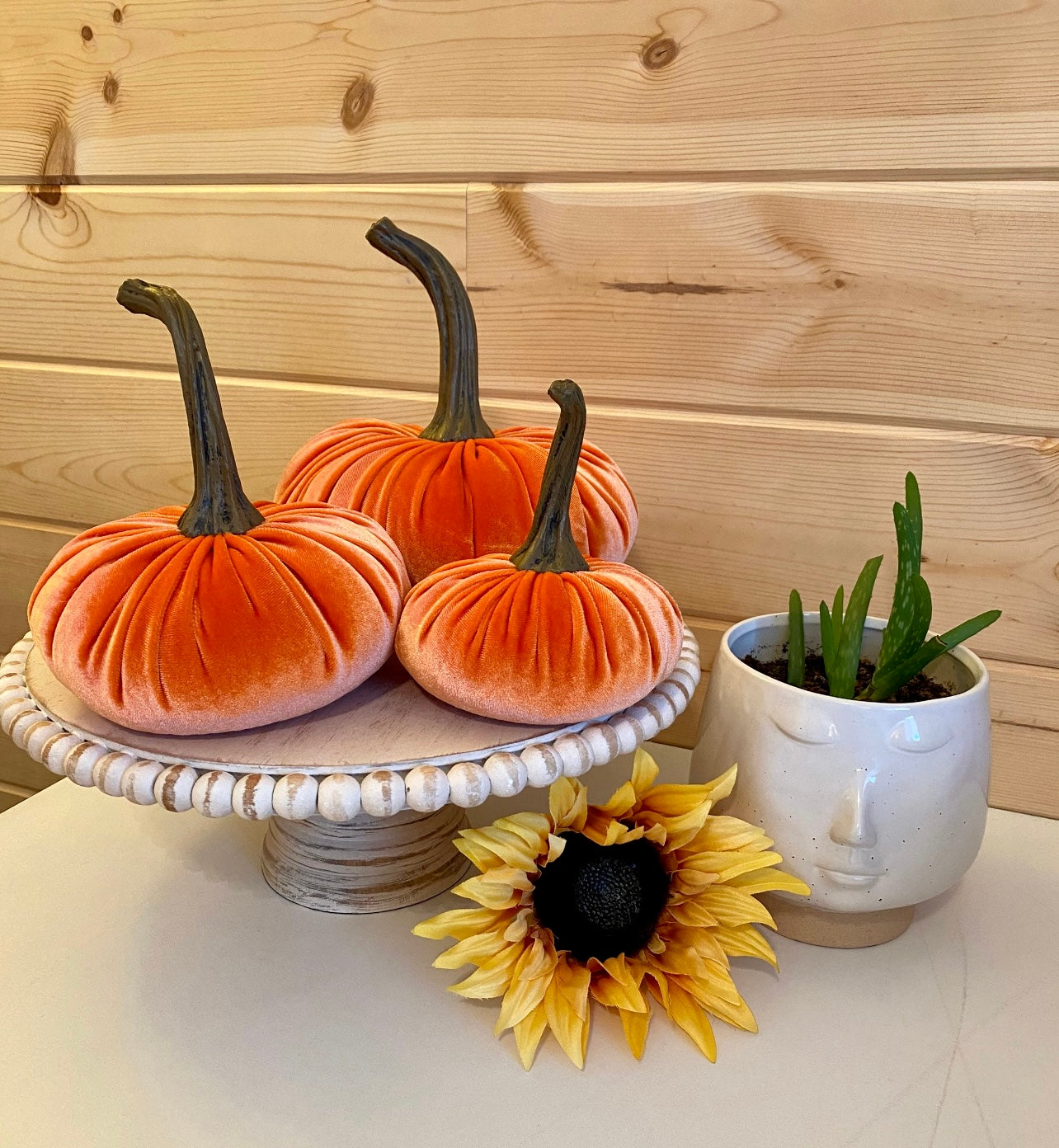 PUMPKIN SET of 3 VELVET - PUMPKIN SPICE