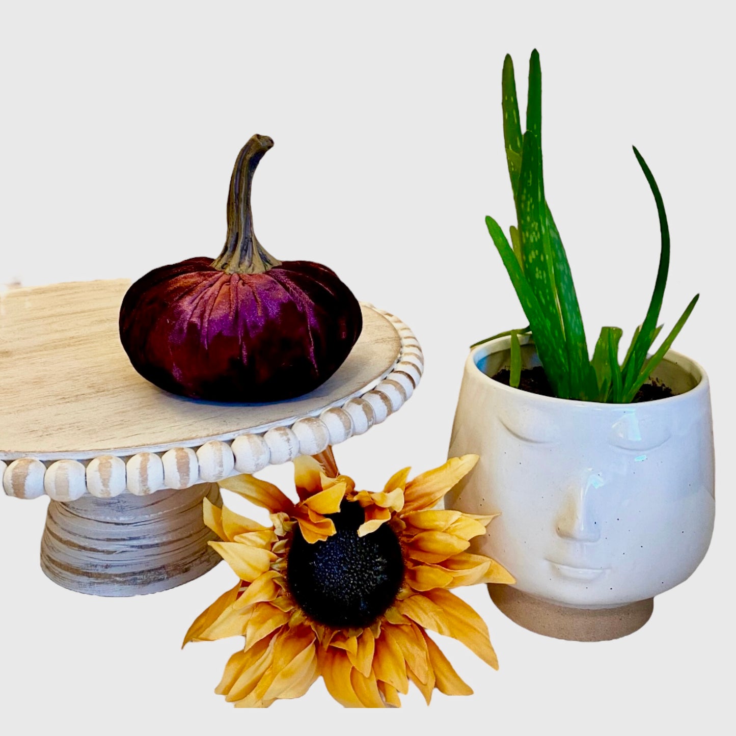 SMALL VELVET PUMPKIN - WINE