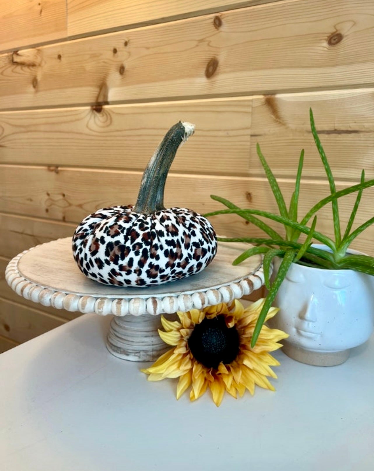 LARGE ANIMAL PRINT PUMPKIN - JAGUAR