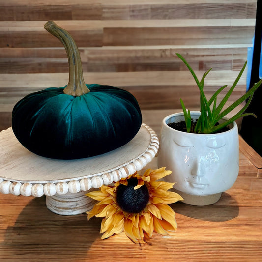 EXTRA LARGE VELVET PUMPKIN - HUNTER GREEN