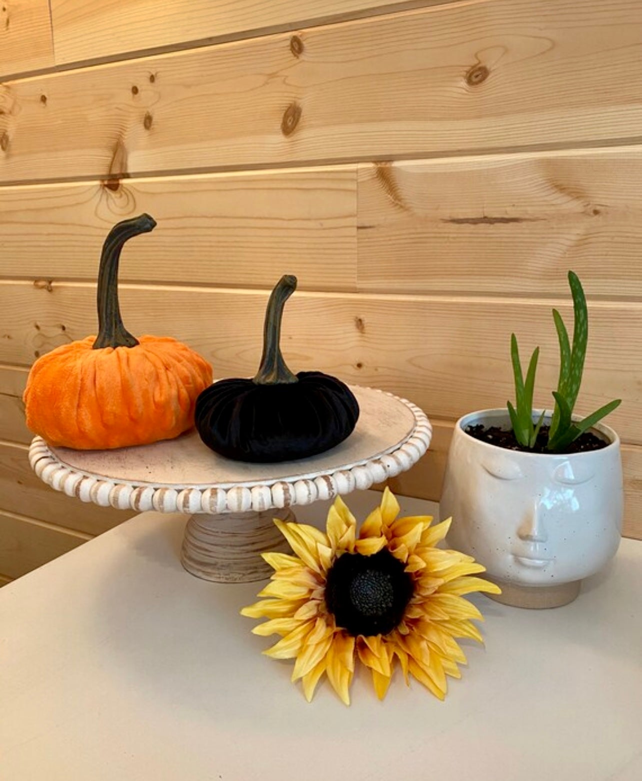 SMALL PUMPKIN VELVET - BLACK