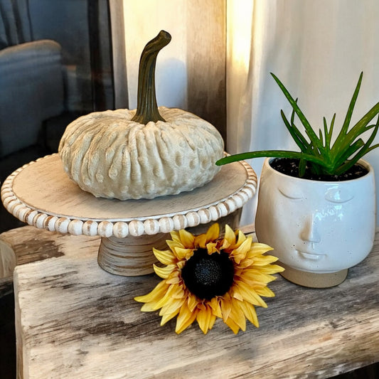 EXTRA LARGE NUBBY MINK VELVET PUMPKIN - SAND