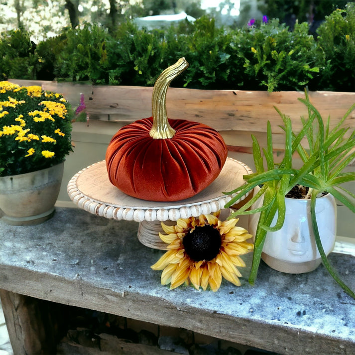 Your Heart's Content - Pumpkin Extra Large Velvet,  Fall Accent Decor, Centerpiece: Burgundy