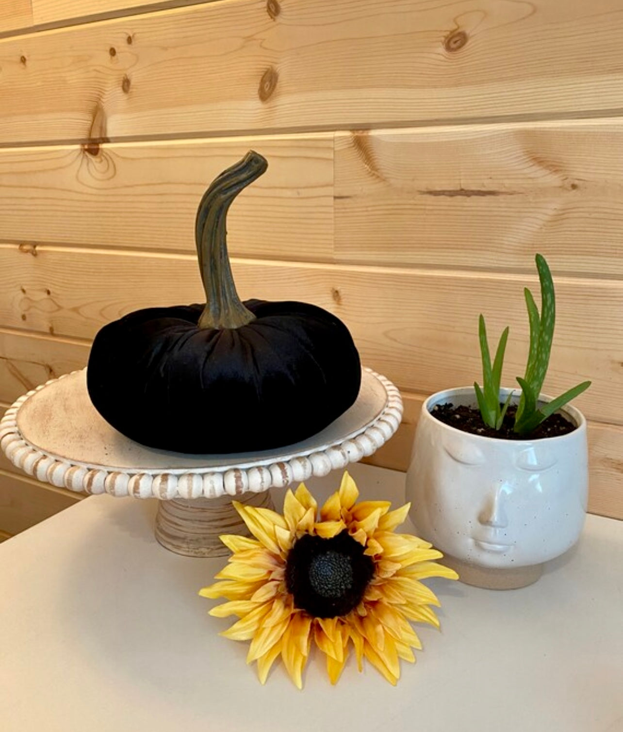 PUMPKIN SET of 3 VELVET - BLACK