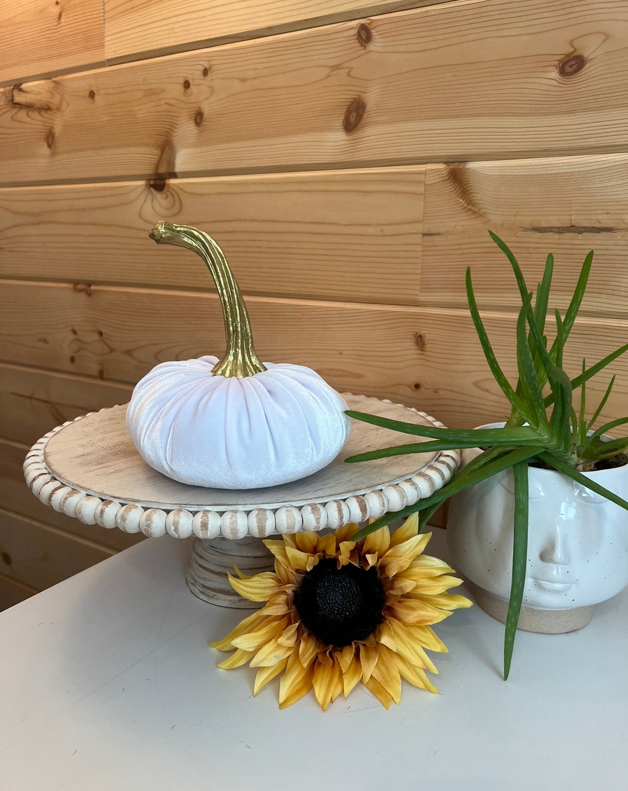 PUMPKINS SET of 3 VELVET - WHITE