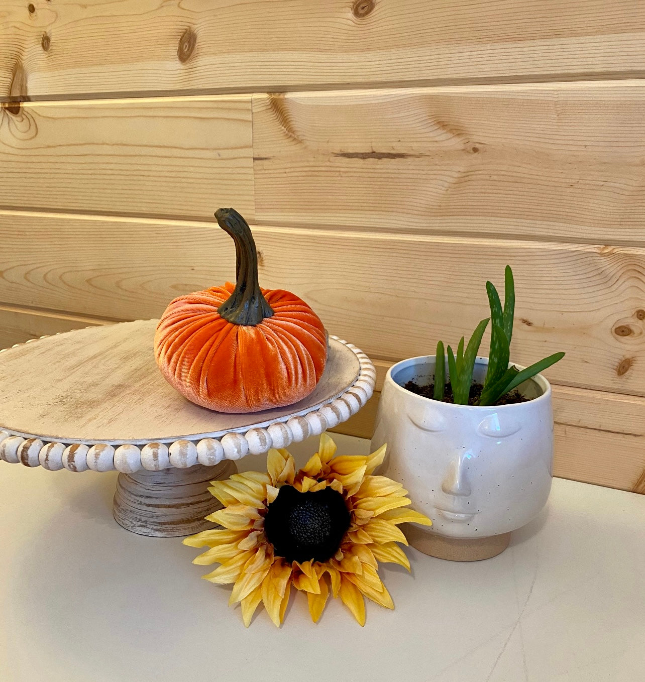 PUMPKIN SET of 3 VELVET - PUMPKIN SPICE