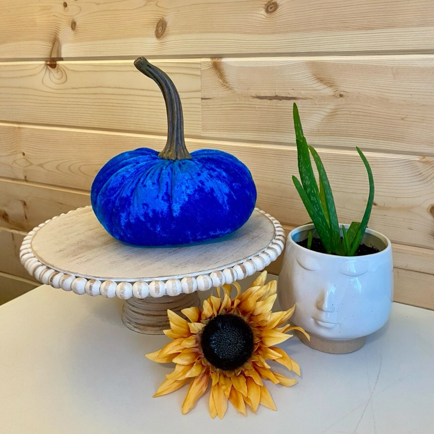 VELVET PUMPKIN EXTRA LARGE - BLUE CRUSH