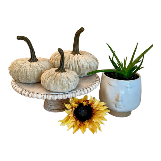 HANDCRAFTED PUMPKIN SET of 3 NUBBY MINK VELVET - SAND