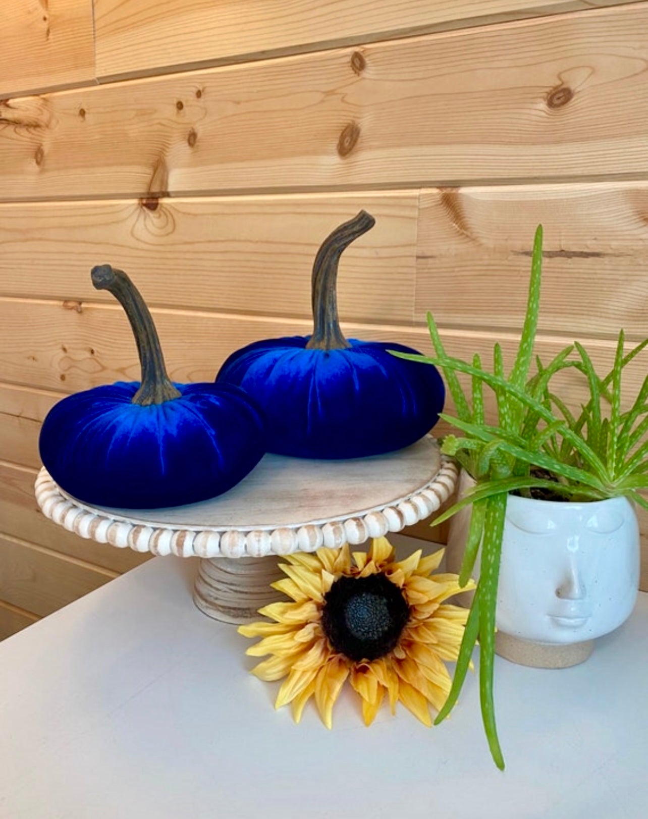 LARGE VELVET PUMPKIN - ROYAL BLUE