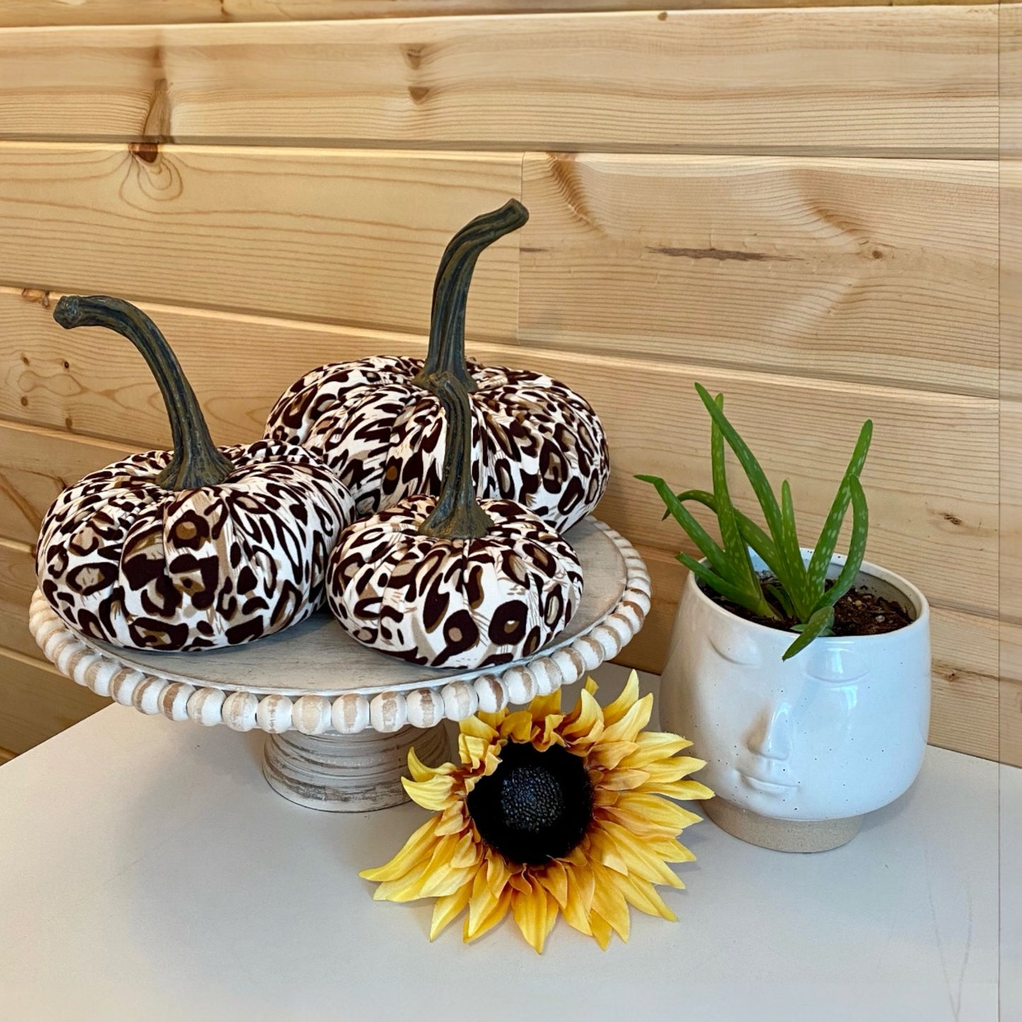 ANIMAL PRINT PUMPKIN SET of 3 - LEOPARD