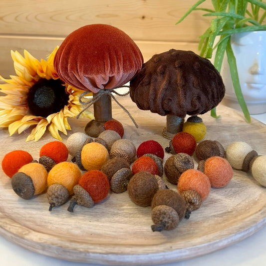 ACORNS WOOL FELT - FALL MIX - SET of 13